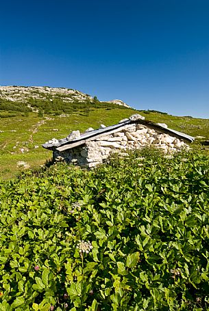 Ortigara shelter, Ortigara mount, Asiago, Veneto, Italy, Europe Ortigara shelter, Ortigara mount, Asiago, Veneto, Italy, Europe