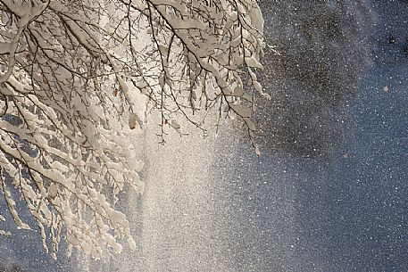 Thaw in the forest of Cansiglio, Italy