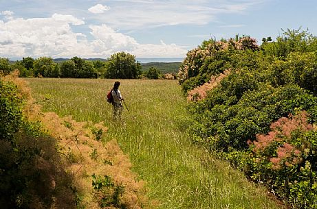 hiker along the path of Romea Strata,
Monte San Michele, San Martino del Carso, Italy