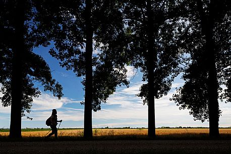 tourist in the lowland forest of Muzzana del Turgnano,Italy
