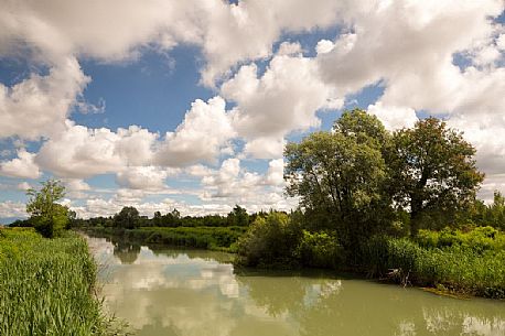 The Cormor river and thelowland forest of Muzzana del Turgnano,Italy
