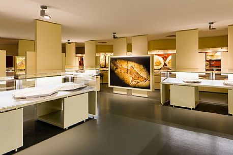 The fossil Museum of Bolca, is one of the most important in the world, Lessinia, Italy