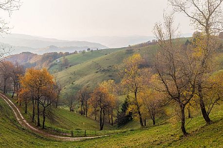 Rolling landscape of Lessini mountain, Bolca, Italy