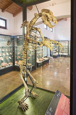 Museum Geo paleontological Attilio Benedetti at Campo Silvano, Lessinia, Italy Museum Geo paleontological Attilio Benedetti at Campo Silvano, Lessinia, Italy