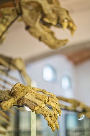 Museum Geo paleontological Attilio Benedetti at Campo Silvano, Lessinia, Italy Museum Geo paleontological Attilio Benedetti at Campo Silvano, Lessinia, Italy