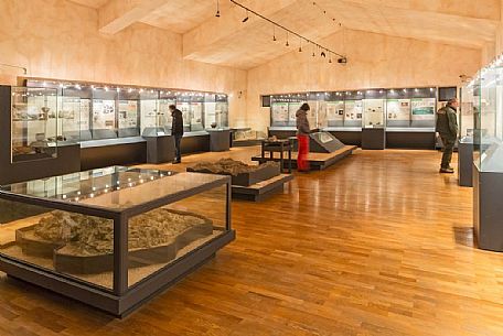 The prehistoric and paleontological museum of S. Anna d'Alfaedo, Lessinia, Italy The prehistoric and paleontological museum of S. Anna d'Alfaedo, Lessinia, Italy