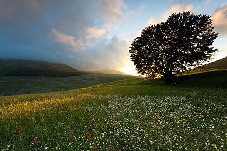 Surise to Vettore mount from Castelluccio di Norcia, Umbria, Italy