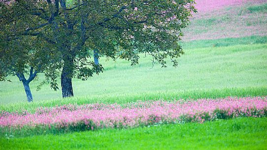 Natural landscape of Norcia, Umbria, Italy