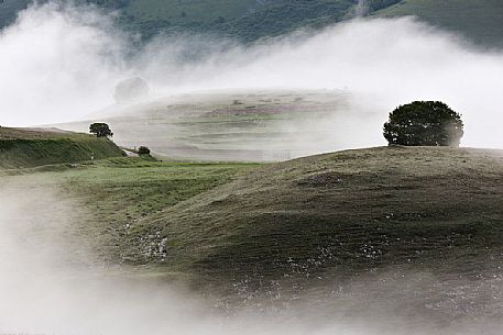 First lights of dawn on Pian Grande Plateau in the fog, Castelluccio di Norcia, Sibillini National Park, Italy