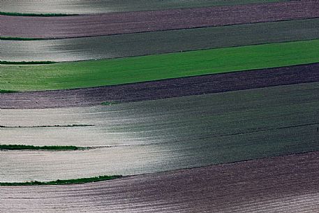Fields in spring with lentil newly sown, Castelluccio di Norcia, Italy Fields in spring with lentil newly sown, Castelluccio di Norcia, Italy