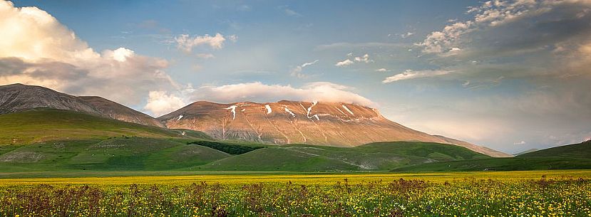 Spring blooming in Piano Perduto Plateau, in background Vettore mount immersed in last light of sunset, Monti Sibillini National Park, Italy