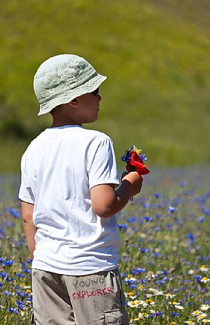 Young child hiking in the flowering and cultivated field of  the Pian Perduto plateau, Castelluccio di Norcia, Italy