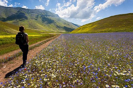 Young woman hiking on the trails in the Pian Grande of Castelluccio di Norcia, in the background Vettore mountain and its fault, Sibillini National Park, Italy