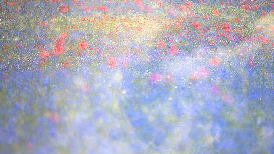 Flowering field in Pian Grande of Castelluccio di Norcia, Sibillini National Park, Italy