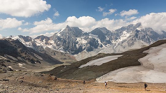 Hikers near Madriccio pass,in the background the Gran Zebr peak or Knig Spitze and the Orltes,Solda valley, Stelvio national park, South Tyrol, Italy