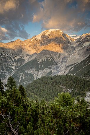 Otles summit in the Stelvio national park, Trafoi,Stelvio pass, South Tyrol, Italy