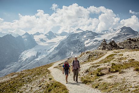 Hikers near Passo dello Stelvio pass and in the background the Stelvio glacier, Passo dello Stelvio national park, Italy Hikers near Passo dello Stelvio pass and in the background the Stelvio glacier, Passo dello Stelvio national park, Italy