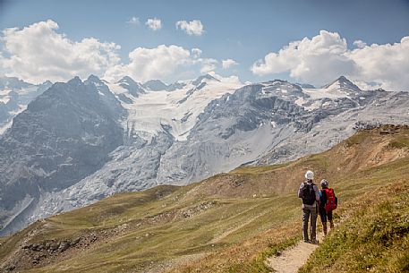 Hikers near Passo dello Stelvio pass and in the background the Stelvio glacier, Passo dello Stelvio national park, Italy Hikers near Passo dello Stelvio pass and in the background the Stelvio glacier, Passo dello Stelvio national park, Italy