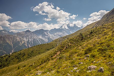 Otles summit in the Stelvio national park, Trafoi,Stelvio pass, South Tyrol, Italy