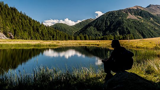 Covel lake, Pejo valley, Stelvio national park, Italy