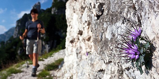 Trekking in the Julian Alps, Italy