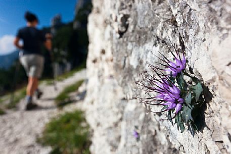 Trekking in the Julian Alps, Italy