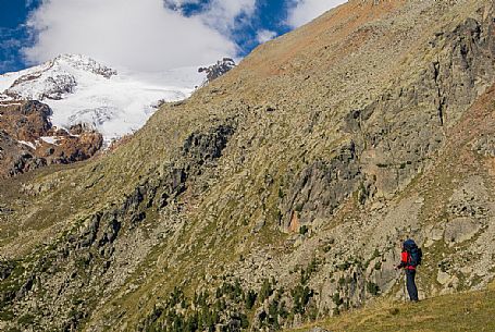 Hiking in the Stelvio National Park, Pejo valley, Italy Hiking in the Stelvio National Park, Pejo valley, Italy