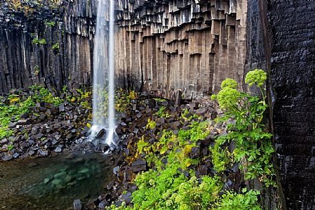 Svartifoss waterfall in Skaftafell national park, Iceland