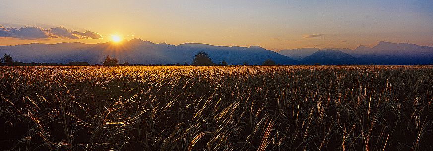 Sunset in the Magredi land, Friuli, Italy