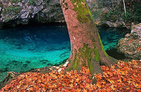 Sources of the Gorgazzo river, Polcenigo, Friuli, Italy Sources of the Gorgazzo river, Polcenigo, Friuli, Italy