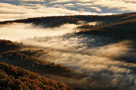 Autumn in the Cansiglio forest from above, Italy