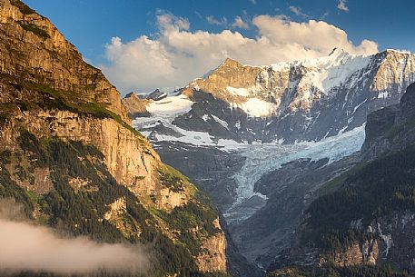 Sunset on Fiescherhorn mountain from Grindelwald village, Berner Oberland, Switzerland, Europe