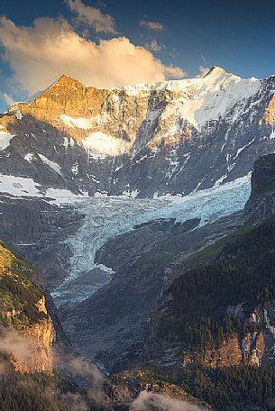 Sunset on Fiescherhorn mountain from Grindelwald village, Berner Oberland, Switzerland, Europe