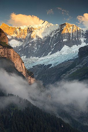 Sunset on Fiescherhorn mountain from Grindelwald village, Berner Oberland, Switzerland, Europe