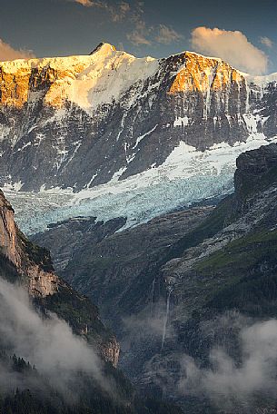 Sunset on Fiescherhorn mountain from Grindelwald village, Berner Oberland, Switzerland, Europe