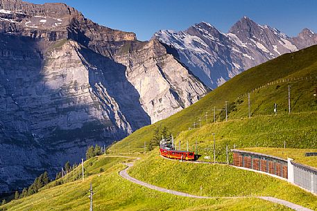 Typical swiss red train near Kleine Scheidegg station, Jungfraujoch Railway, Grindelwald, Switzerland, Europe
