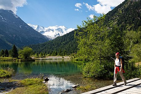 Hiking in Val Morteratsch valley towards Piz Bernina and Piz Argient mountain, Pontresina, Engadine, Canton of Grisons, Switzerland, Europe