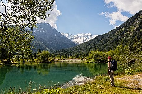 Hiking in Val Morteratsch valley towards Piz Bernina and Piz Argient mountain, Pontresina, Engadine, Canton of Grisons, Switzerland, Europe Hiking in Val Morteratsch valley towards Piz Bernina and Piz Argient mountain, Pontresina, Engadine, Canton of Grisons, Switzerland, Europe