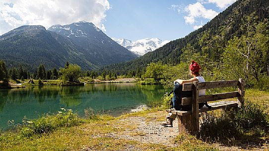 Hiker in the Val Morteratsch valley admiring the glacier and the Bernina mountain range, Pontresina, Engadine, Canton of Grisons, Switzerland, Europe