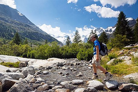 Hiking in Val Morteratsch valley, in the backgrond the glacier and the Bernina mountain range, Pontresina, Engadine, Canton of Grisons, Switzerland, Europe