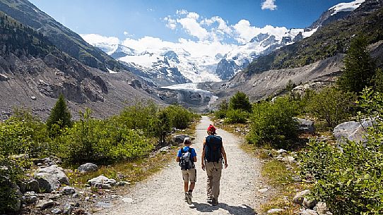 Hiking in Val Morteratsch valley, in the backgrond the glacier and the Bernina mountain range, Pontresina, Engadine, Canton of Grisons, Switzerland, Europe