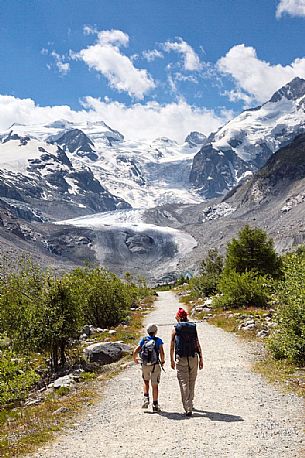 Hiking in Val Morteratsch valley, in the backgrond the glacier and the Bernina mountain range, Pontresina, Engadine, Canton of Grisons, Switzerland, Europe