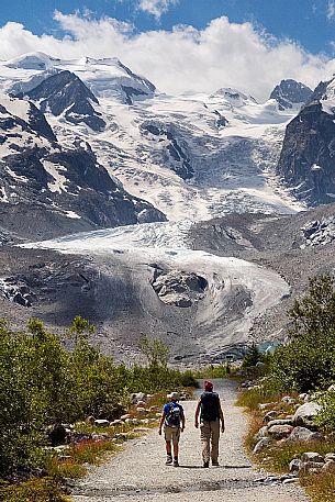 Hiking in Val Morteratsch valley, in the backgrond the glacier and the Bernina mountain range, Pontresina, Engadine, Canton of Grisons, Switzerland, Europe