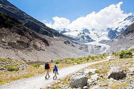 Hiking in Val Morteratsch valley, in the backgrond the glacier and the Bernina mountain range, Pontresina, Engadine, Canton of Grisons, Switzerland, Europe