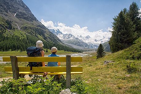 Hikers in Roseg valley, in the background the glacier and the Piz Roseg in the Bernina mountain group, Pontresina, Engadine, Canton of Grisons, Switzerland, Europe Hikers in Roseg valley, in the background the glacier and the Piz Roseg in the Bernina mountain group, Pontresina, Engadine, Canton of Grisons, Switzerland, Europe