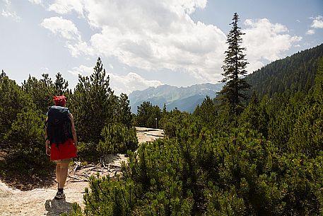 Hiker in the Cavaglia Glacial Garden  also referred to as Giants Pots, Cavaglia, Poschiavo valley, Engadin, Canton of Grisons, Switzerland, Europe