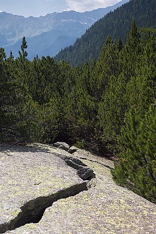 Cavaglia Glacial Garden  also referred to as Giants Pots, Cavaglia, Poschiavo valley, Engadin, Canton of Grisons, Switzerland, Europe