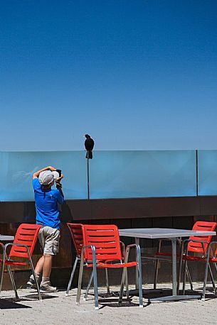 Child photographs an alpine chough from Pilatus mountain, Lucerne, Border Area between the Cantons of Lucerne, Nidwalden and Obwalden, Switzerland, Europe