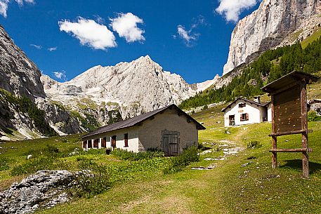 Ombretta alm and in the background the Ombretta peak and the south cliff of Marmolada, Rocca Pietore, dolomites, Veneto, Italy, Europe