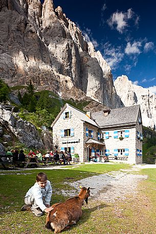 Child caressing a goat at the Falier alpine hut, below at the south cliff of Marmolada, Val Ombretta, dolomites, Veneto, Italy, Europe